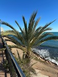 2 bedroom Apartamento se vende en Punta Prima 