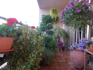 3 Slaapkamer Appartementen te koop in Javea