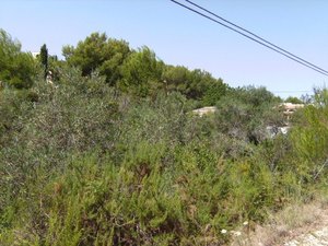 Grondstuk te koop in Javea