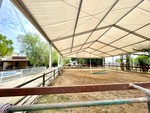 3 sovrum Finca till salu i Orihuela 