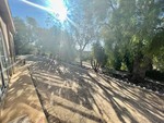 5 bedroom Finca for sale in Crevillente