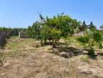 4 bedroom Villa for sale in Daya Nueva
