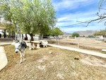 3 sovrum Finca till salu i Orihuela 