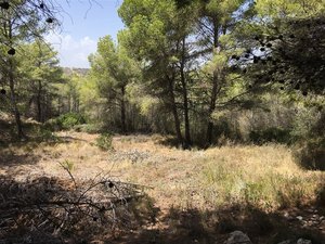 Property for sale in Moraira | Costa Blanca