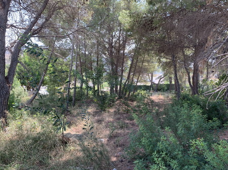 Property for sale in | Spanish Properties