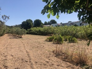 Grondstuk te koop in Calpe