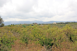 Property for sale in Beniarbeig | Costa Blanca