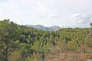 Property for sale in Benidoleig | Costa Blanca