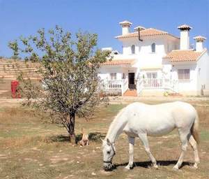 4 bedroom Villa for sale in Totana