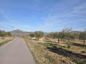 Perceel te koop in Salinas