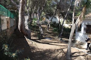 Perceel te koop in Dehesa De Campoamor
