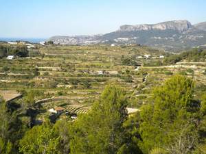 Perceel te koop in Benissa