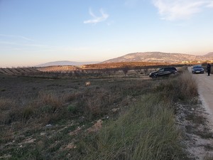 Plot for sale in Pinoso