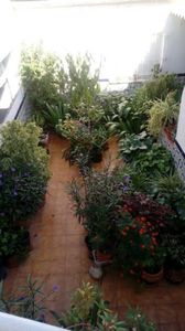 3 bedroom Geschakelde Woning te koop in Catral