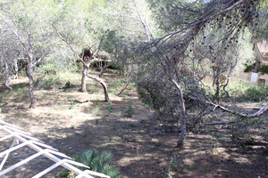Perceel te koop in Dehesa De Campoamor