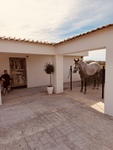 2 bedroom Country House for sale in Algorfa