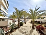 2 bedroom Penthouse for sale in Los Dolses