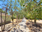9 bedroom Villa for sale in Elche