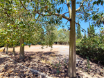 9 bedroom Villa for sale in Elche