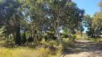 Finca for sale in Los Alcazares