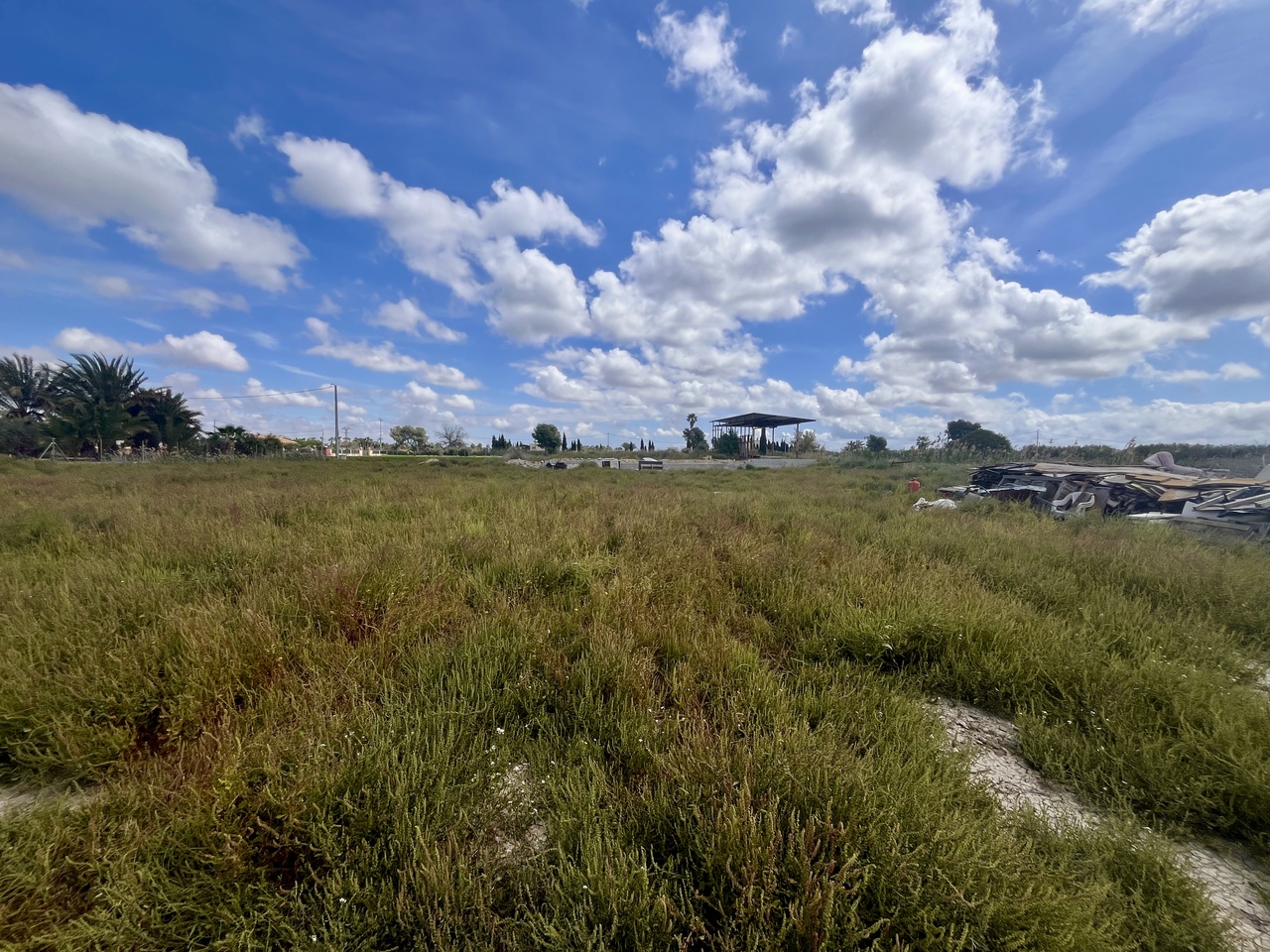 Plot for sale in Catral