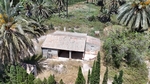 9 bedroom Villa for sale in Elche