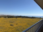 2 bedroom Planta Alta se vende en Punta Prima 