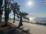 1 bedroom Penthouse te koop in Torrevieja