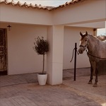 2 bedroom Country House for sale in Algorfa