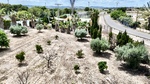 6 bedroom Country House for sale in Los Montesinos