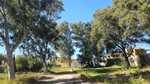 Finca for sale in Los Alcazares