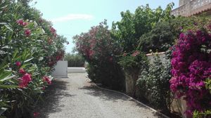 4 bedroom Villa for sale in Daimus