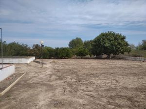 1 bedroom Villa for sale in Oliva