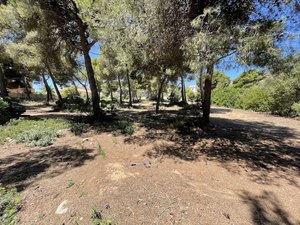 Terrain a vendre à Javea