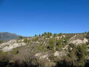 Finca for sale in Cocentaina