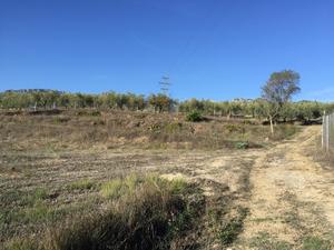 Grondstuk te koop in Muro de Alcoy