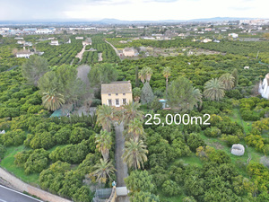 Belle finca avec grand terrain à vendre à Carcaixent