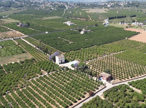 Magnifique finca à vendre à Alzia, Valence