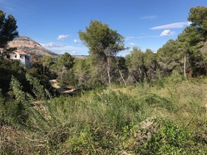 Plot for sale in Javea