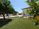 3 bedroom Villa for sale in Albatera