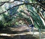 2 bedroom Villa for sale in Torrevieja