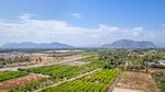 3 bedroom Appartement te koop in Jacarilla