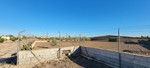 1 спальни Вилла для продажи в San Miguel de Salinas