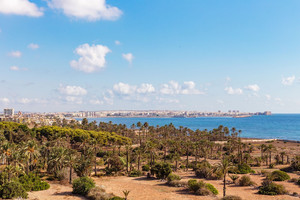 2 bedroom Apartment for sale in Punta Prima