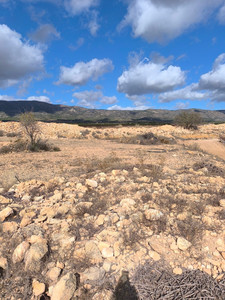 Plot for sale in Pinoso