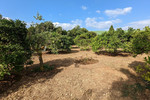 Участок для продажи в Denia
