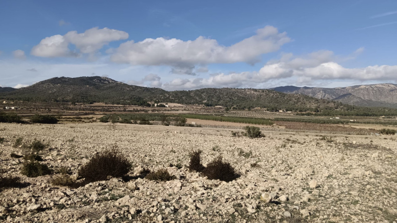Plot for sale in Salinas