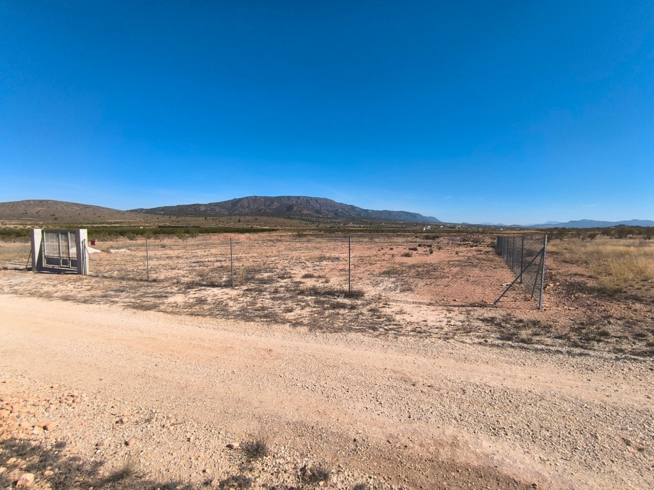 Plot for sale in Pinoso