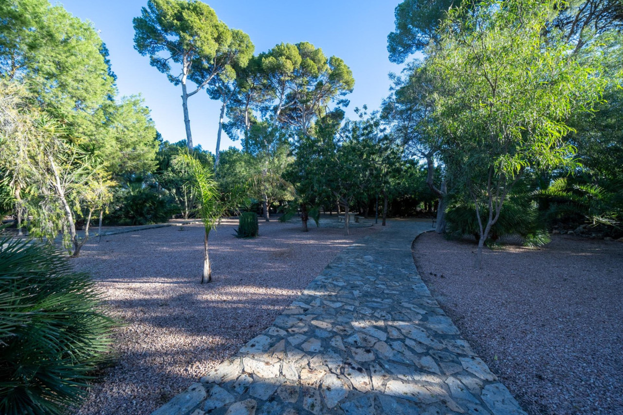 13 bedroom Villa à vendre à Mutxamel