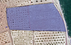 Plot for sale in Pinoso